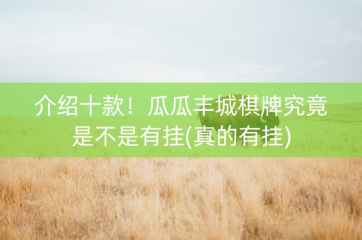 介绍十款！瓜瓜丰城棋牌究竟是不是有挂(真的有挂)