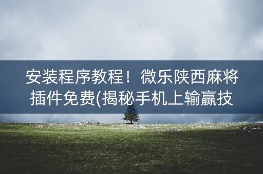 安装程序教程！微乐陕西麻将插件免费(揭秘手机上输赢技巧)