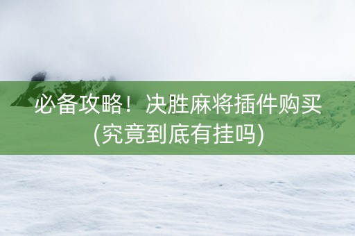 必备攻略！决胜麻将插件购买(究竟到底有挂吗)