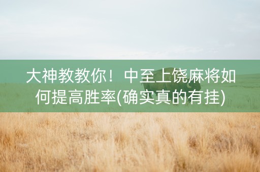 大神教教你！中至上饶麻将如何提高胜率(确实真的有挂)