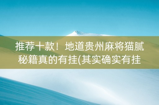 推荐十款！地道贵州麻将猫腻秘籍真的有挂(其实确实有挂)