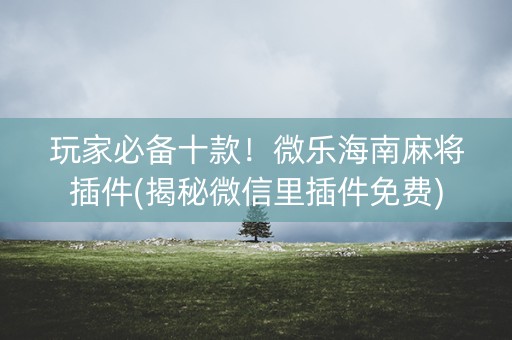 玩家必备十款！微乐海南麻将插件(揭秘微信里插件免费)