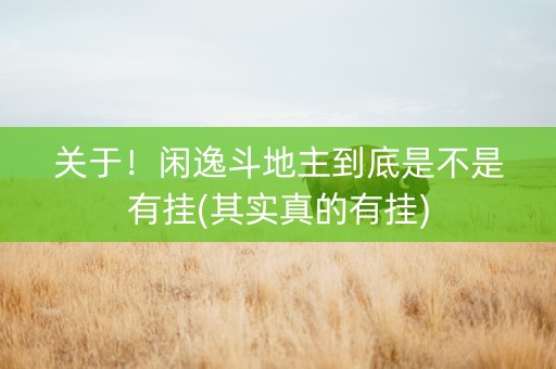 关于！闲逸斗地主到底是不是有挂(其实真的有挂)