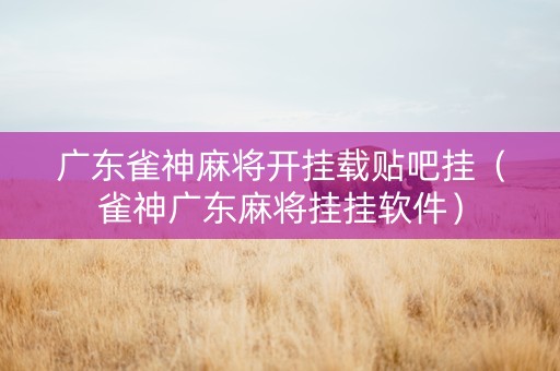广东雀神麻将开挂载贴吧挂（雀神广东麻将挂挂软件）