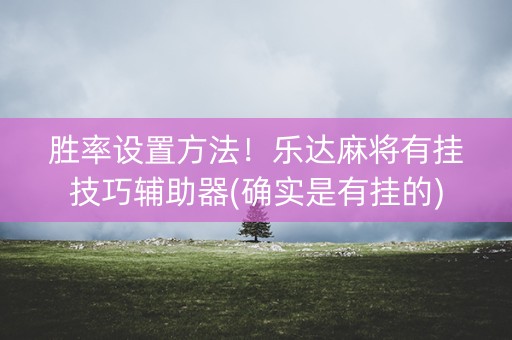 胜率设置方法！乐达麻将有挂技巧辅助器(确实是有挂的)