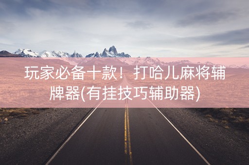 玩家必备十款！打哈儿麻将辅牌器(有挂技巧辅助器)