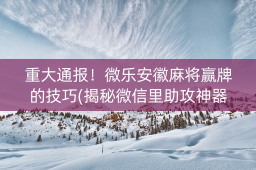 重大通报！微乐安徽麻将赢牌的技巧(揭秘微信里助攻神器)