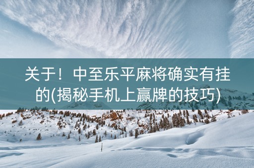 关于！中至乐平麻将确实有挂的(揭秘手机上赢牌的技巧)