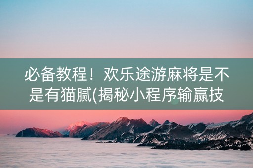 必备教程！欢乐途游麻将是不是有猫腻(揭秘小程序输赢技巧)