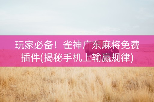 玩家必备！雀神广东麻将免费插件(揭秘手机上输赢规律)