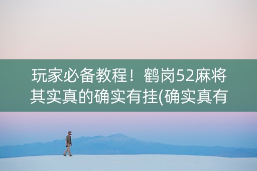 玩家必备教程！鹤岗52麻将其实真的确实有挂(确实真有挂)