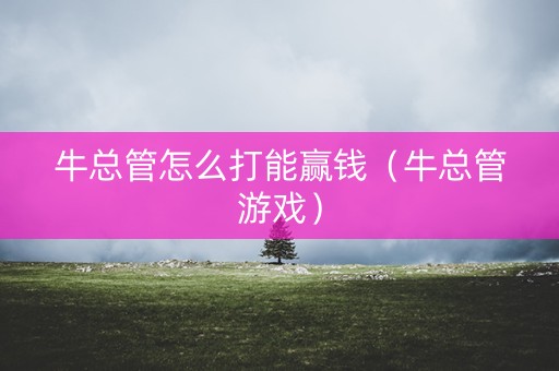 牛总管怎么打能赢钱（牛总管游戏）