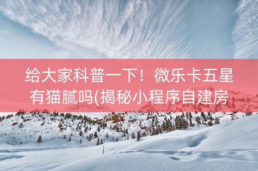 给大家科普一下！微乐卡五星有猫腻吗(揭秘小程序自建房怎么赢)