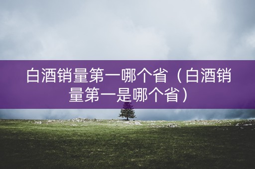 白酒销量第一哪个省（白酒销量第一是哪个省）
