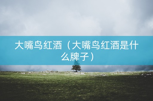 大嘴鸟红酒（大嘴鸟红酒是什么牌子）