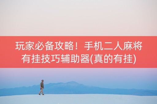 玩家必备攻略！手机二人麻将有挂技巧辅助器(真的有挂)