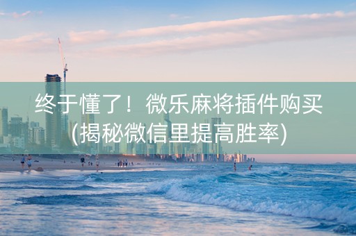 终于懂了！微乐麻将插件购买(揭秘微信里提高胜率)