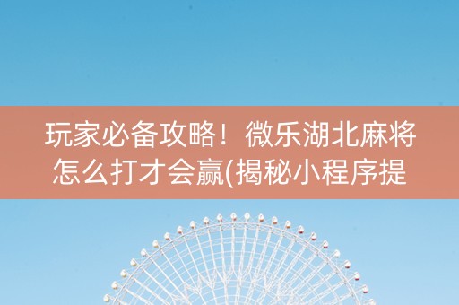 玩家必备攻略！微乐湖北麻将怎么打才会赢(揭秘小程序提高胜率)