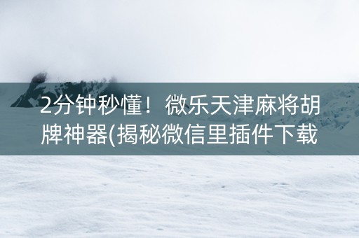 2分钟秒懂！微乐天津麻将胡牌神器(揭秘微信里插件下载)