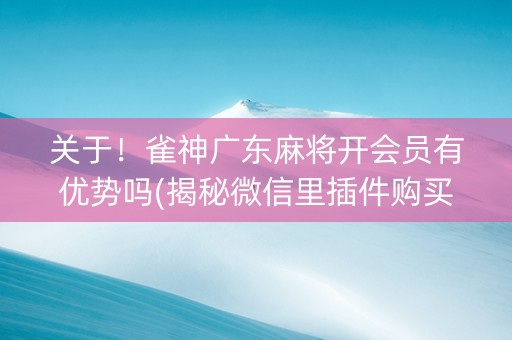 关于！雀神广东麻将开会员有优势吗(揭秘微信里插件购买)