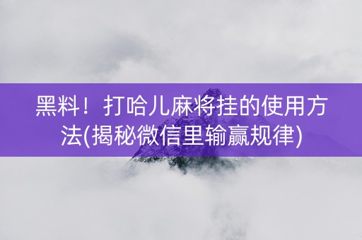 黑料！打哈儿麻将挂的使用方法(揭秘微信里输赢规律)