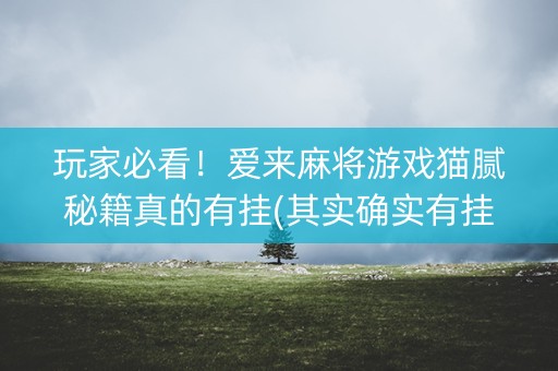 玩家必看！爱来麻将游戏猫腻秘籍真的有挂(其实确实有挂)