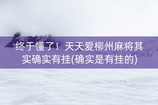 终于懂了！天天爱柳州麻将其实确实有挂(确实是有挂的)