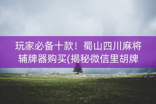 玩家必备十款！蜀山四川麻将辅牌器购买(揭秘微信里胡牌神器)