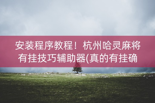 安装程序教程！杭州哈灵麻将有挂技巧辅助器(真的有挂确实有挂)