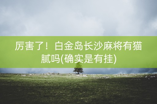 厉害了！白金岛长沙麻将有猫腻吗(确实是有挂)