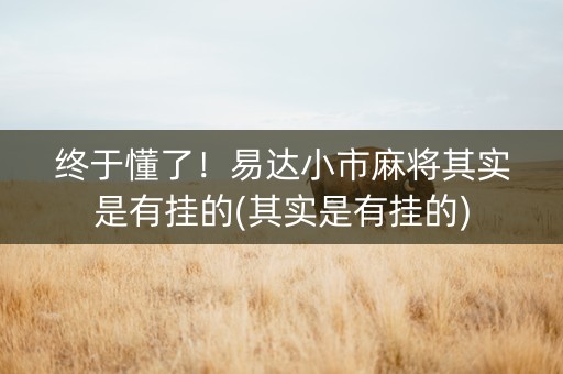 终于懂了！易达小市麻将其实是有挂的(其实是有挂的)