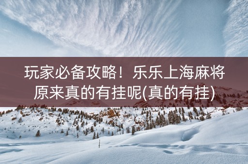 玩家必备攻略！乐乐上海麻将原来真的有挂呢(真的有挂)