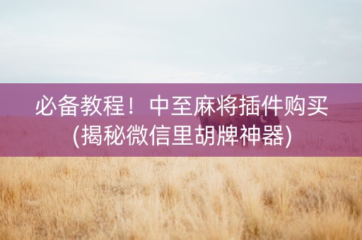 必备教程！中至麻将插件购买(揭秘微信里胡牌神器)