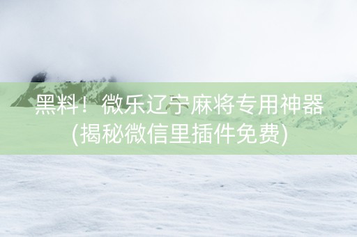 黑料！微乐辽宁麻将专用神器(揭秘微信里插件免费)