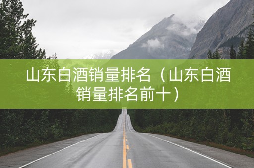 山东白酒销量排名（山东白酒销量排名前十）