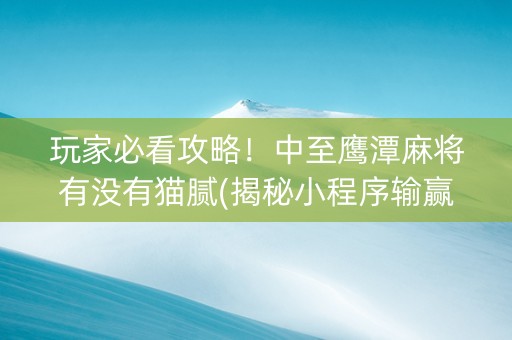 玩家必看攻略！中至鹰潭麻将有没有猫腻(揭秘小程序输赢规律)