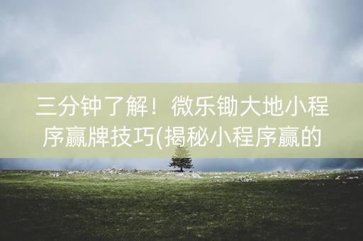 三分钟了解！微乐锄大地小程序赢牌技巧(揭秘小程序赢的诀窍)
