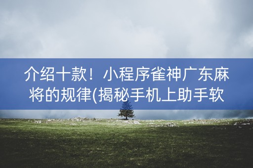 介绍十款！小程序雀神广东麻将的规律(揭秘手机上助手软件)