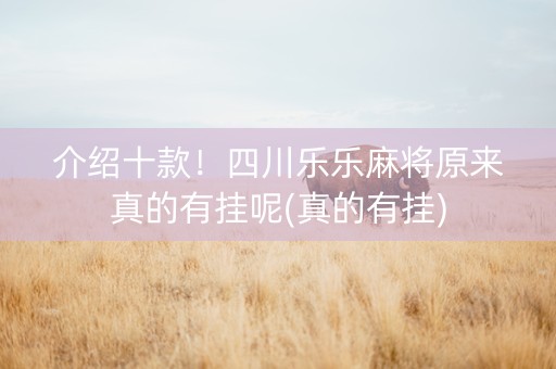 介绍十款！四川乐乐麻将原来真的有挂呢(真的有挂)