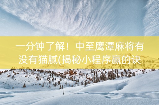 一分钟了解！中至鹰潭麻将有没有猫腻(揭秘小程序赢的诀窍)