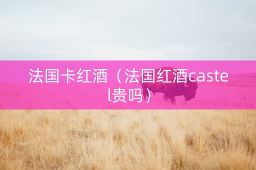 法国卡红酒（法国红酒castel贵吗）