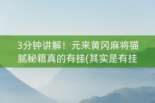 3分钟讲解！元来黄冈麻将猫腻秘籍真的有挂(其实是有挂的)