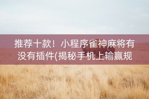 推荐十款！小程序雀神麻将有没有插件(揭秘手机上输赢规律)