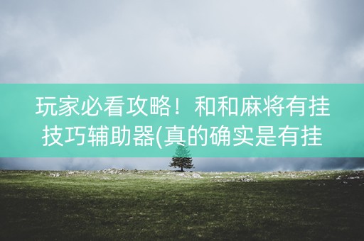 玩家必看攻略！和和麻将有挂技巧辅助器(真的确实是有挂)