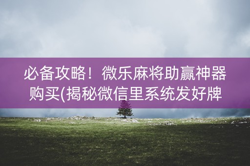 必备攻略！微乐麻将助赢神器购买(揭秘微信里系统发好牌)