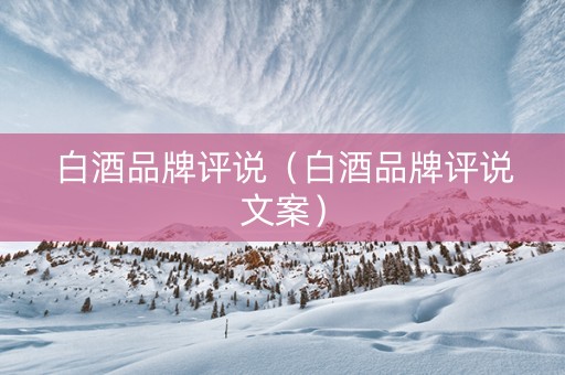 白酒品牌评说（白酒品牌评说文案）