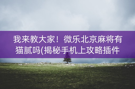 我来教大家！微乐北京麻将有猫腻吗(揭秘手机上攻略插件)