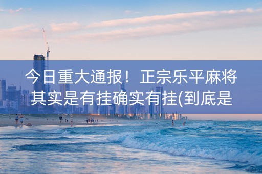 今日重大通报！正宗乐平麻将其实是有挂确实有挂(到底是不是有挂)