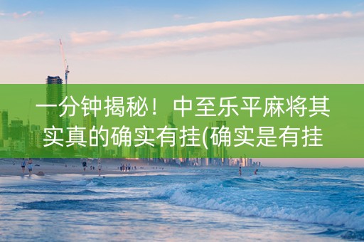 一分钟揭秘！中至乐平麻将其实真的确实有挂(确实是有挂的)