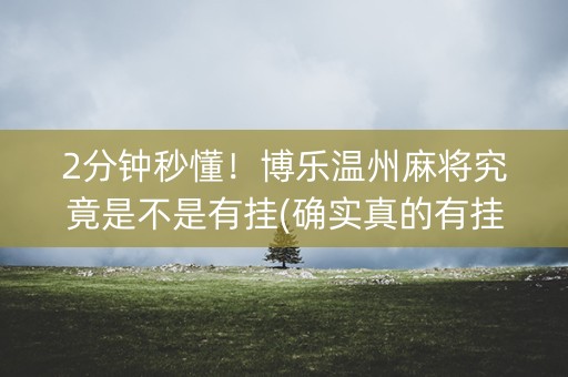 2分钟秒懂！博乐温州麻将究竟是不是有挂(确实真的有挂)